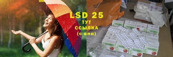 спайс Бородино