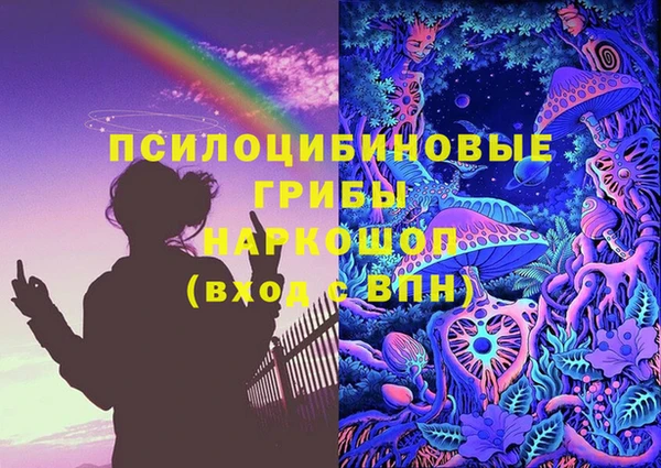 спайс Бородино