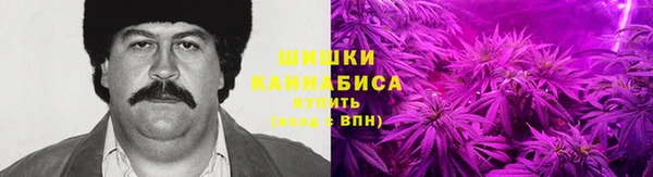 спайс Бородино