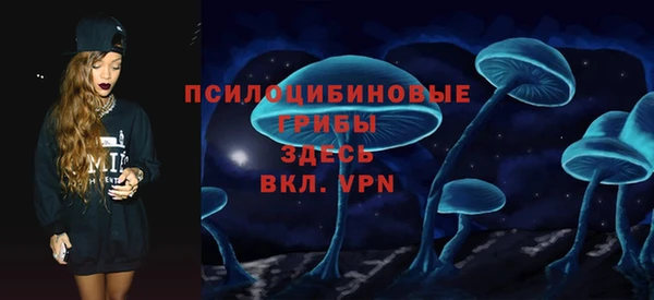 спайс Бородино