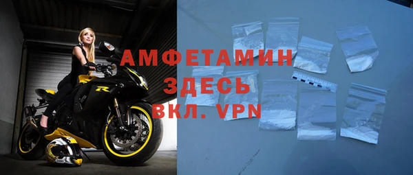 шишки Богородицк