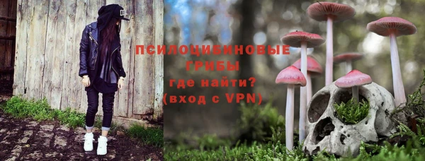 спайс Бородино