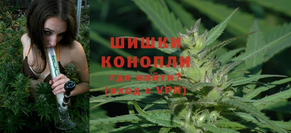 спайс Бородино