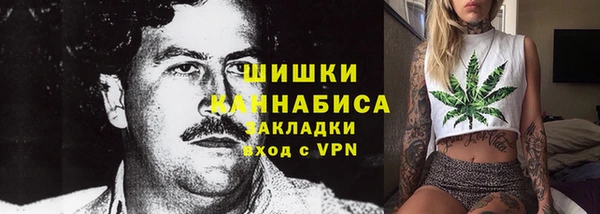 хмурый Бронницы