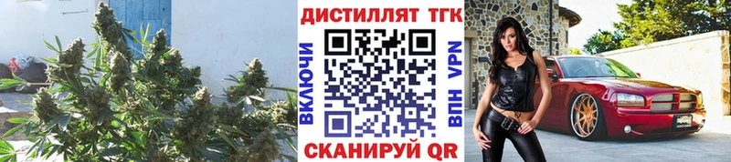 Дистиллят ТГК вейп  цена   kraken зеркало  Сосногорск 