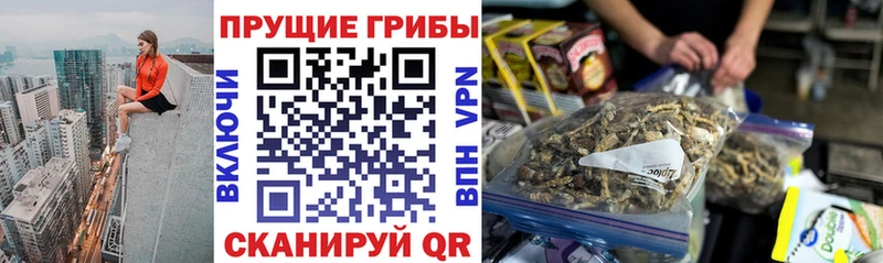 Галлюциногенные грибы мицелий  shop как зайти  Сосногорск  магазин   